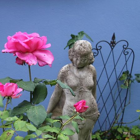 No.31 B&B Im Rosengarten Kapellen-Drusweiler Esterno foto