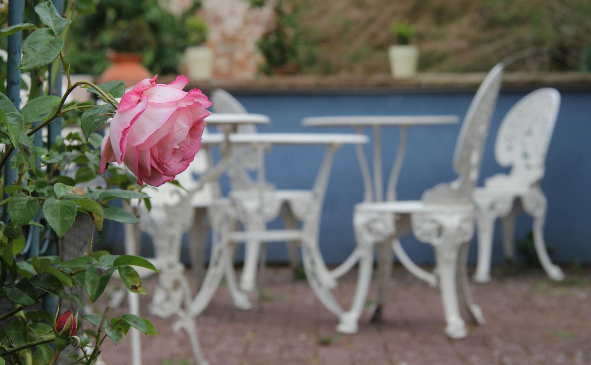 No.31 B&B Im Rosengarten Kapellen-Drusweiler Esterno foto