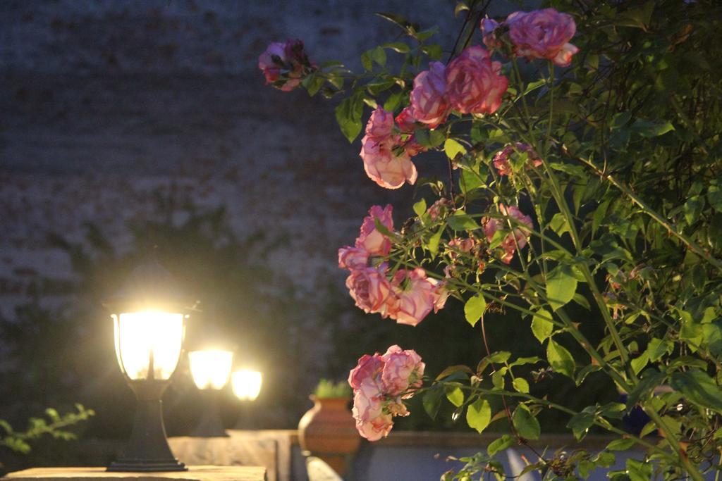No.31 B&B Im Rosengarten Kapellen-Drusweiler Esterno foto