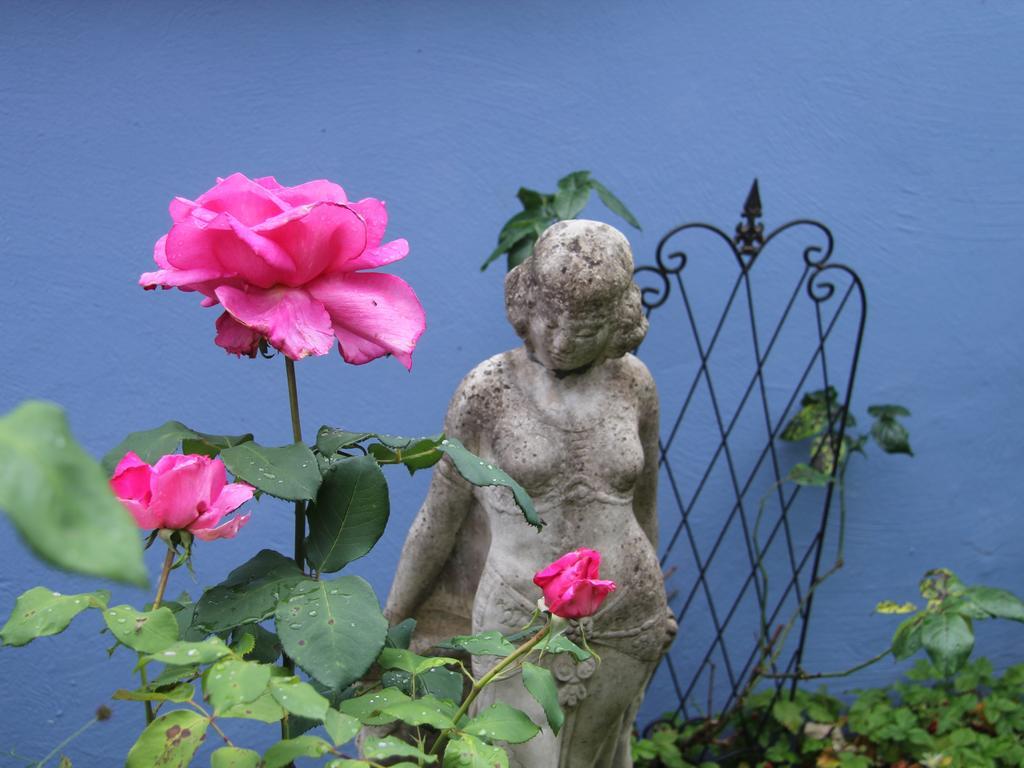 No.31 B&B Im Rosengarten Kapellen-Drusweiler Esterno foto