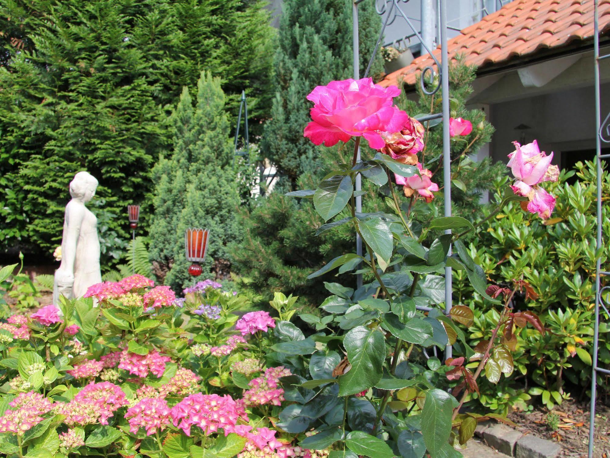 No.31 B&B Im Rosengarten Kapellen-Drusweiler Esterno foto